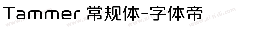 Tammer 常规体字体转换